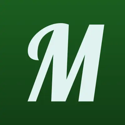 Магнитик, магазин игрушек, лого-визитка